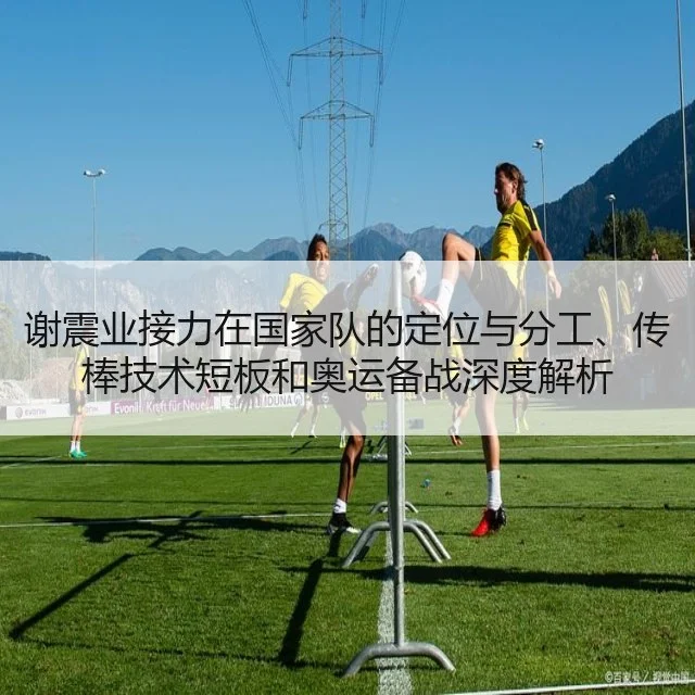 谢震业接力在国家队的定位与分工、传棒技术短板和奥运备战深度解析
